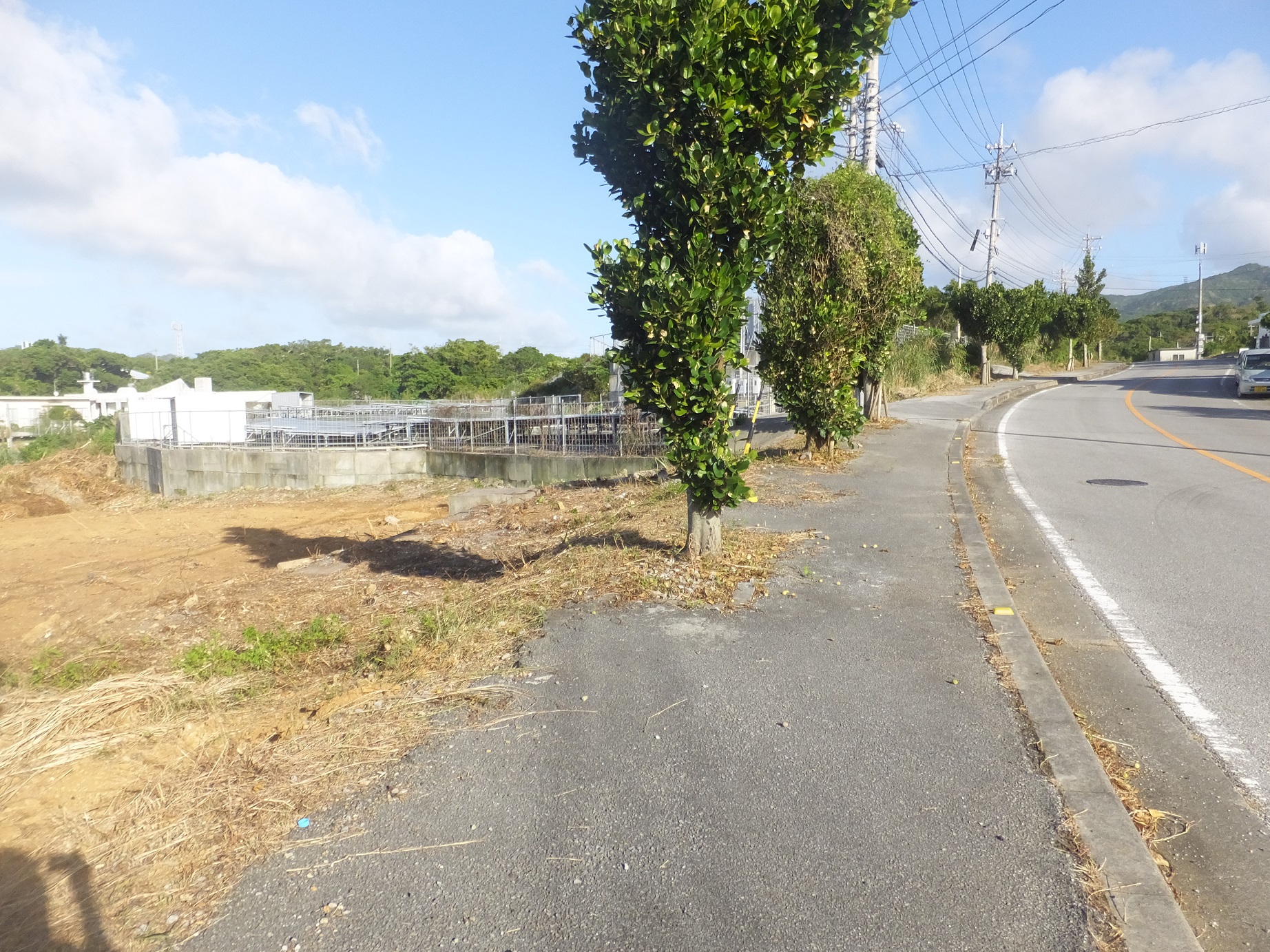 売地　本部町ヘナチ